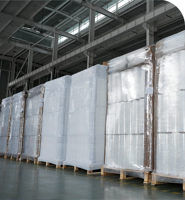 Steadfast Supply Chain Resilience